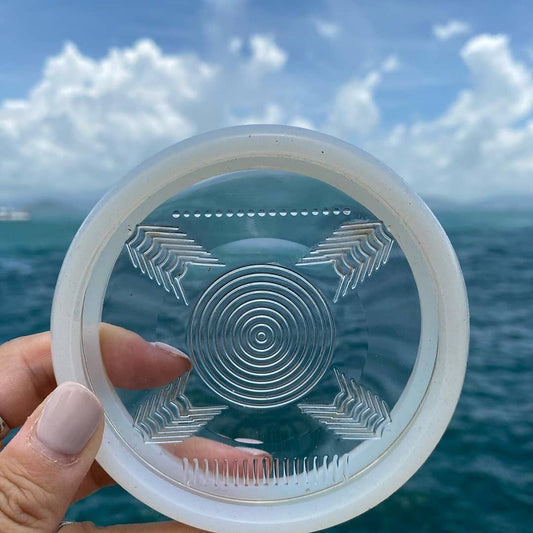 BioDisc
